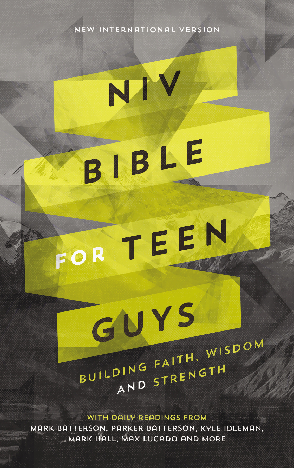 Niv Bible for Teen Guys Building Faith Wisdom and Strength - image 1