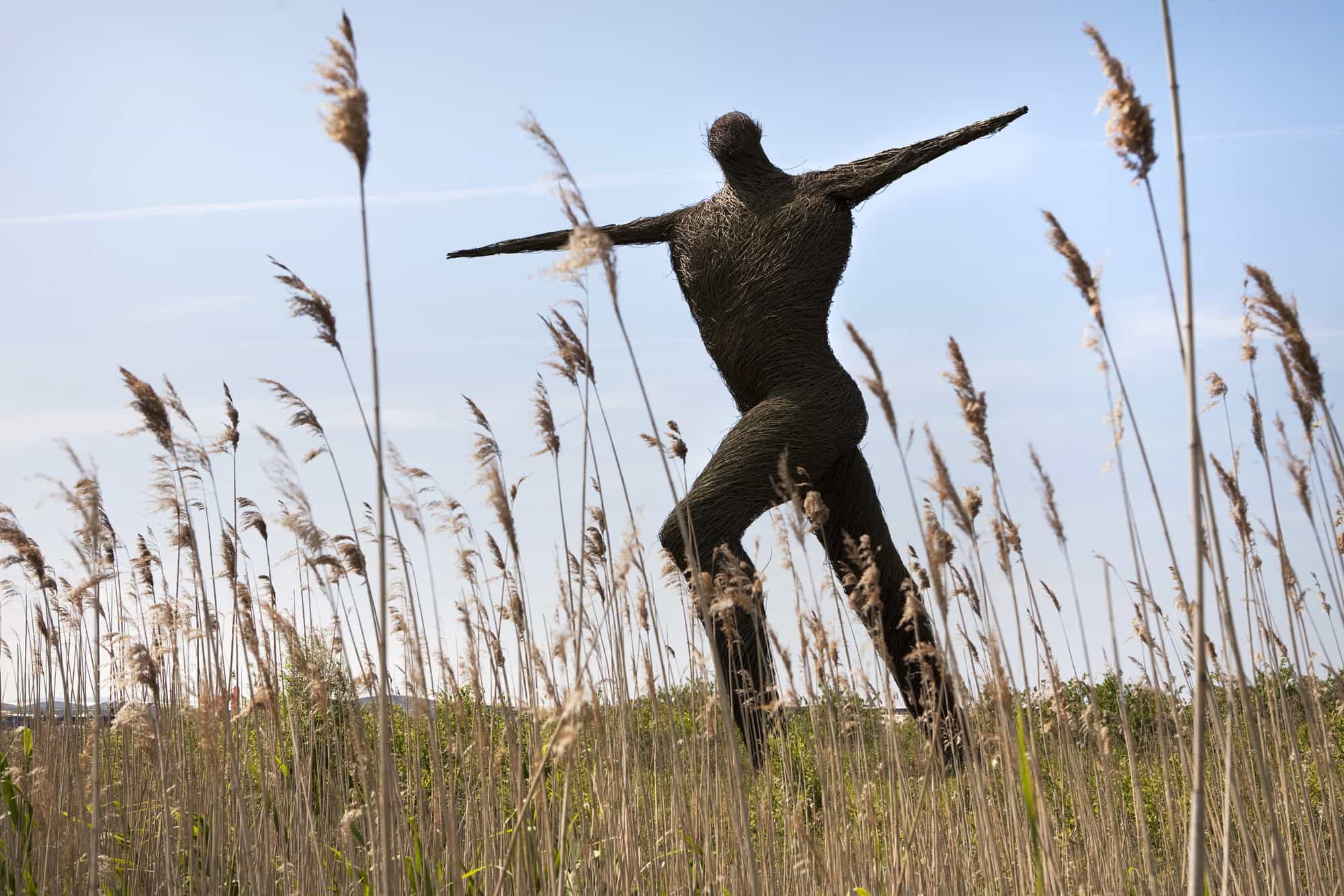 Lydia EvansRough Guides WILLOW MAN SCULPTURE NEAR BRIDGWATER South of the - photo 5