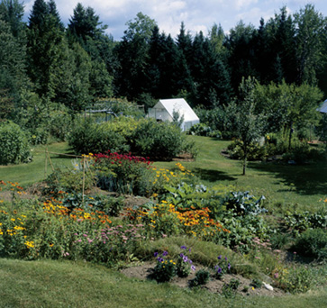 In the Garden Many years ago when Sylvia and I began our life together we - photo 2