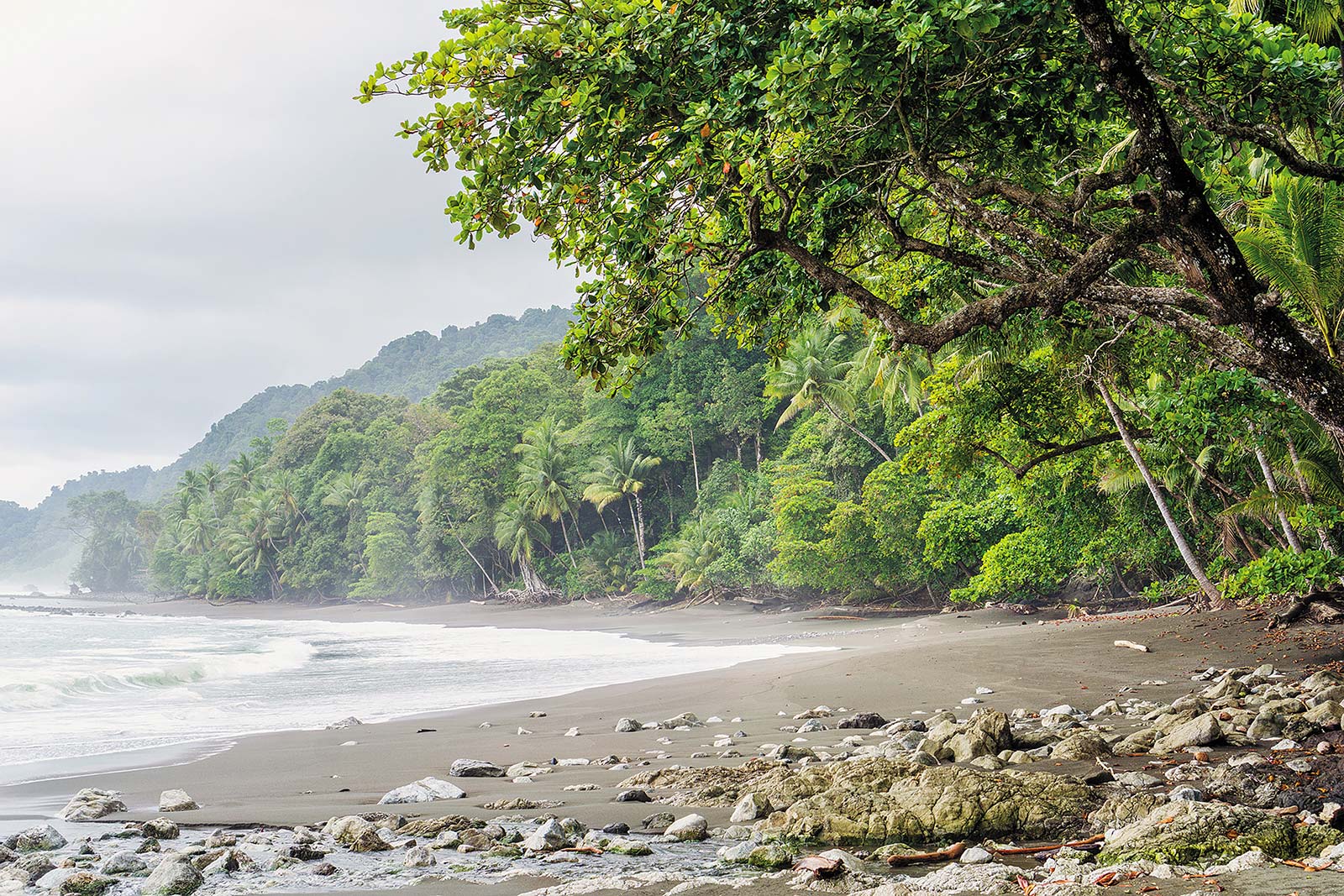 Climb aboard a boat from Baha Drake and cruise to the biodiverse Corcovado - photo 10