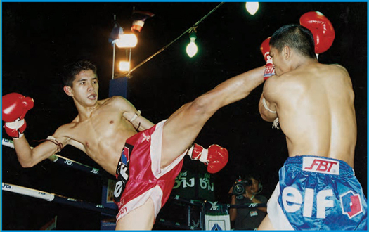 Muay Thai Muay Thai also referred to as Thai boxing is a centuries-old - photo 4