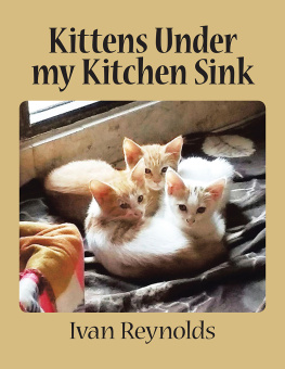 Ivan Reynolds Kittens Under My Kitchen Sink