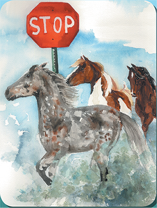 S tampeding stallions seldom see stop signs T adpoles tango to - photo 19