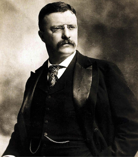 Theodore Roosevelt came into office as the twenty-sixth president of the United - photo 5