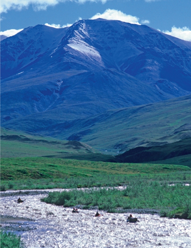 If youve ever wanted to canoe among caribou head to the Kongakut River in the - photo 3