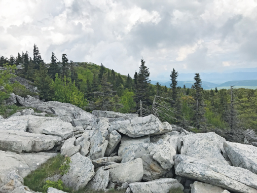 Dolly Sods is a high-altitude plateau that is more like a Canadian landscape - photo 8