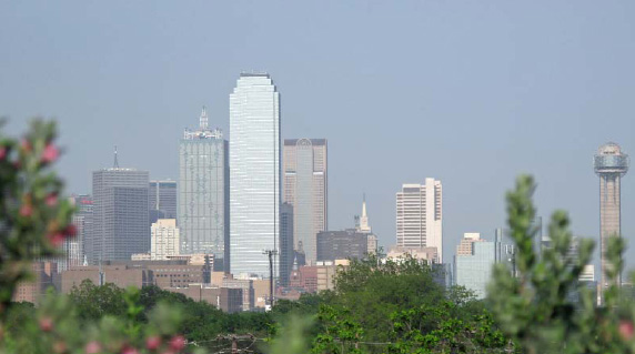 The Dallas skyline from the Hotel Belmont This neon pegasus in the Old Red - photo 5