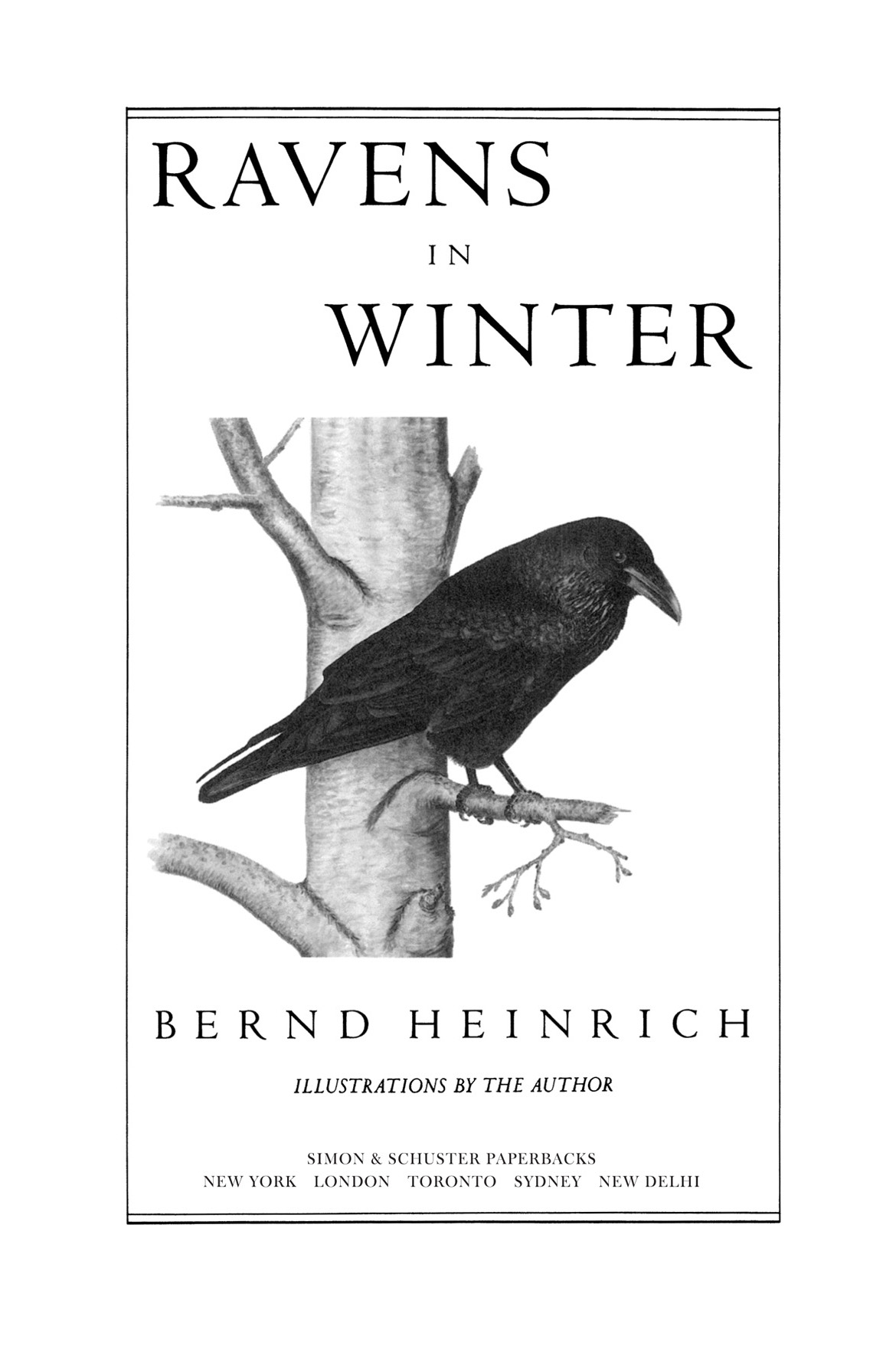 ABOUT THE AUTHOR Bernd Heinrich is Professor Emeritus of Biology at the - photo 1