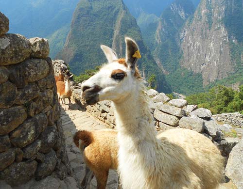 Moon Machu Picchu Including Cusco the Inca Trail - photo 2