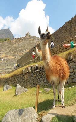 Where to Go The Sacred Valley Leave the giddy heights of Cusco behind and - photo 11