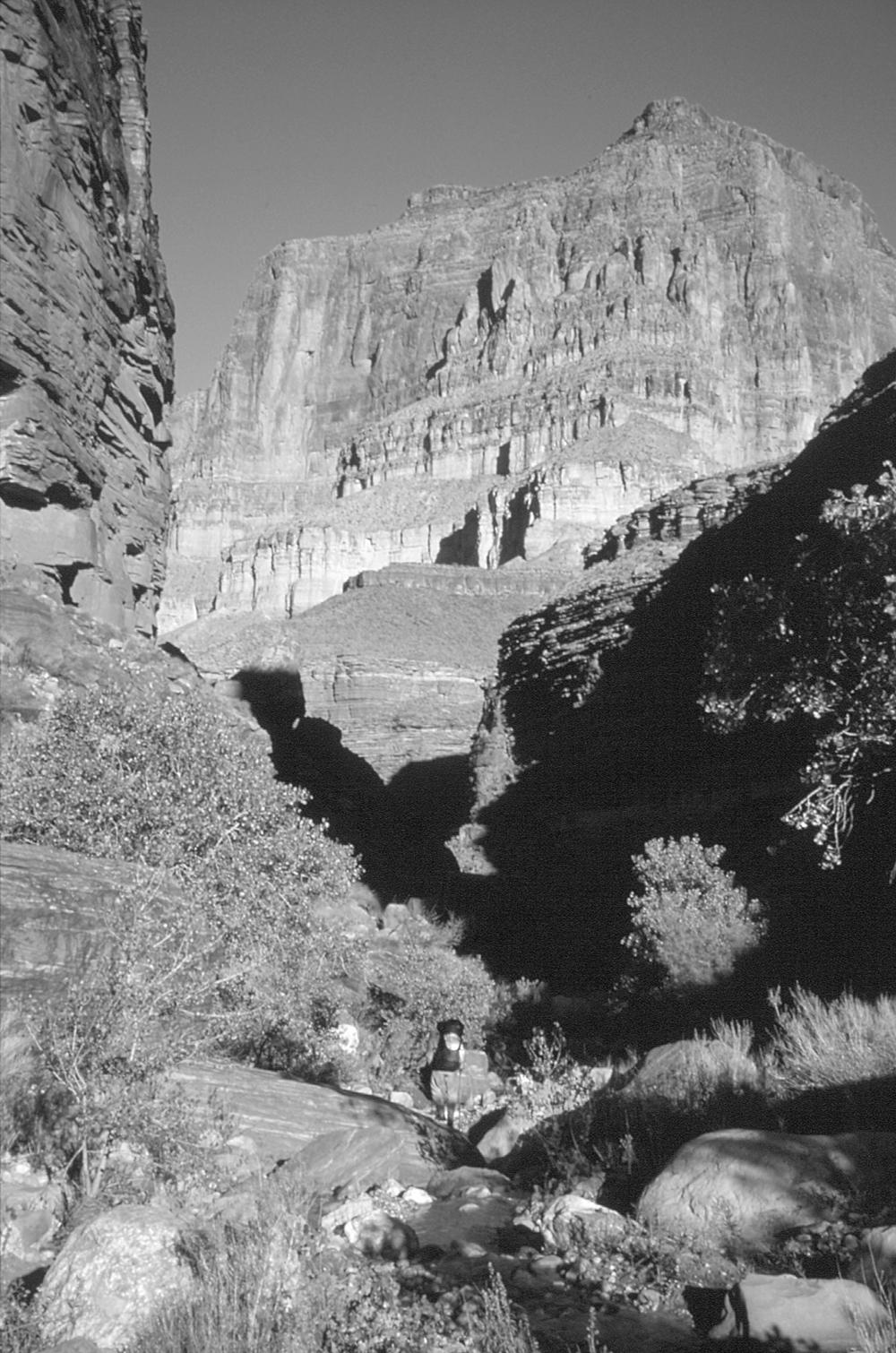 Cross-country backpacking below Powell Plateau Grand Canyon National Park - photo 6