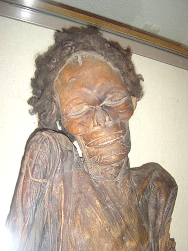 Gaunche mummy As the years of exploration and New World plundering waned - photo 3