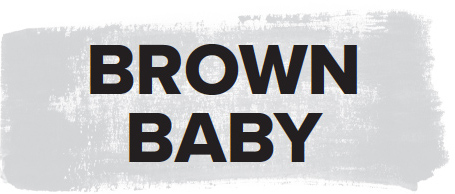 Brown Baby A Memoir of Race Family and Home - image 2