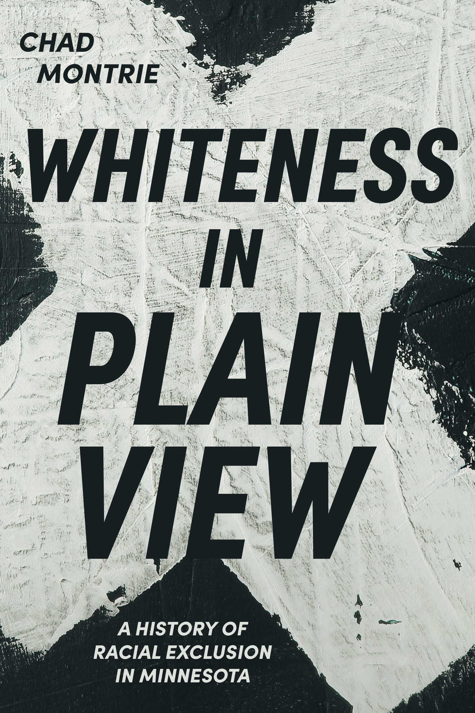 WHITENESS IN PLAIN VIEW A History of Racial Exclusion in Minnesota CHAD - photo 1