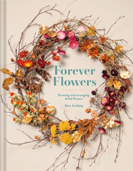 Ann Lindsay - Forever Flowers: Growing And Arranging Dried Flowers