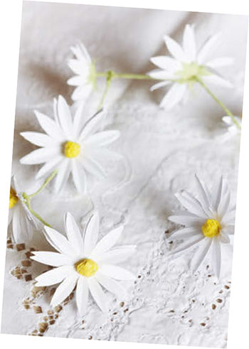 Making Paper Flowers - image 4