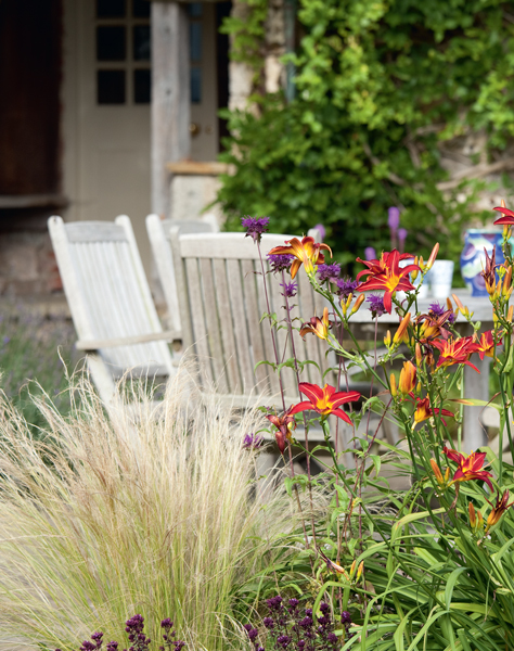 Statement plants work well in small gardens Choose architectural foliage - photo 9