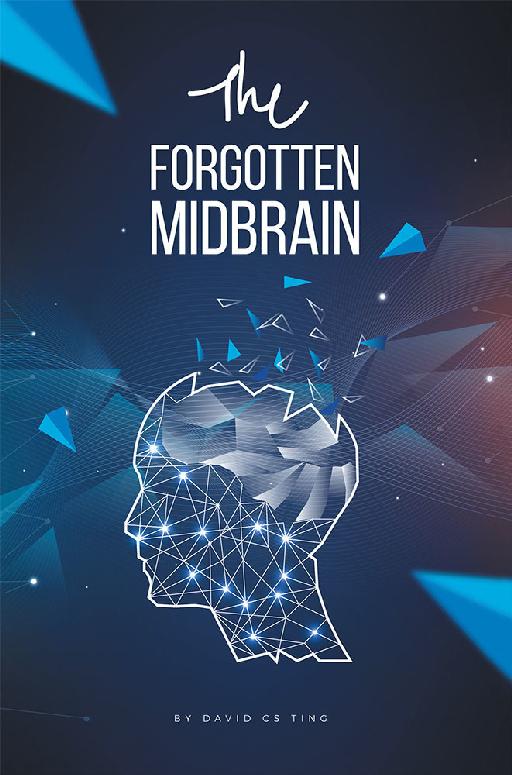 The FORGOTTEN MIDBRAIN DAVID TING Copyright 2019 by Dr David Ting ISBN - photo 1