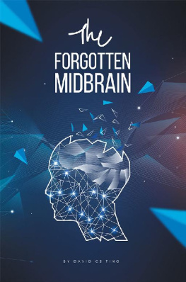 David CS Ting - The Forgotten Midbrain