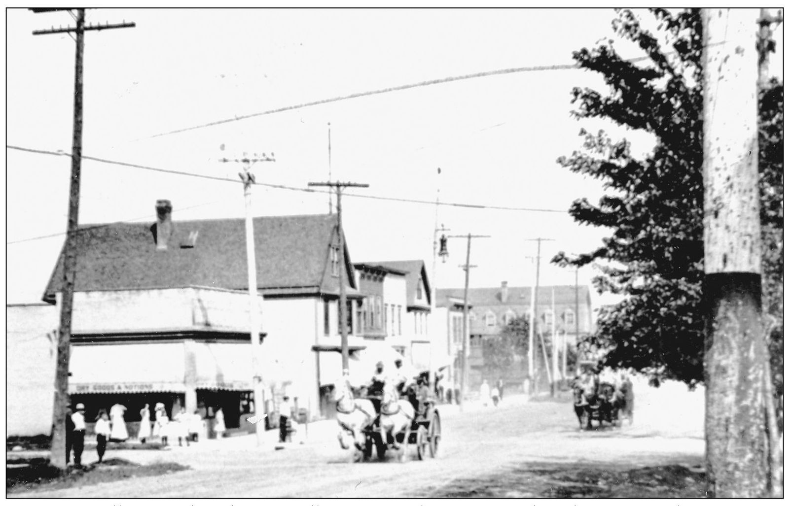 A pair of galloping white horses pulls a wagon down unpaved Walnut Street - photo 3