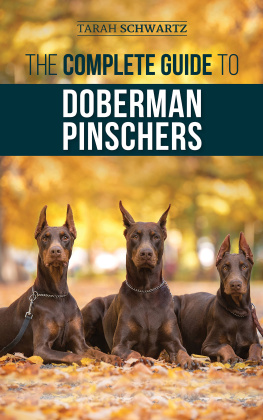 Tarah Schwartz The Complete Guide to Doberman Pinschers