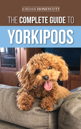 Jordan Honeycutt The Complete Guide to Yorkipoos