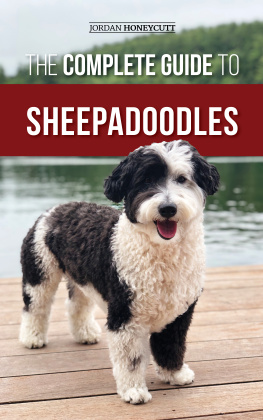 Jordan Honeycutt The Complete Guide to Sheepadoodles: Finding, Raising, Training, Feeding, Socializing, and Loving Your New Sheepadoodle Puppy