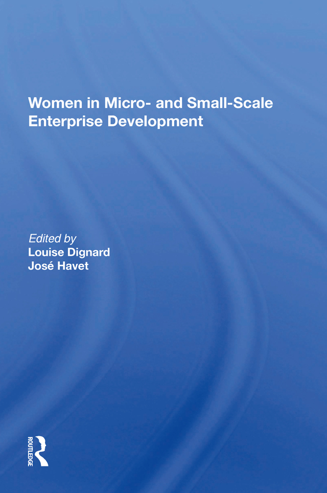 Women in Micro- and Small-Scale Enterprise Development Women in Microand - photo 1