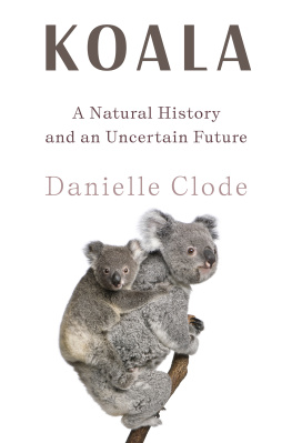 Danielle Clode - Koala: A Natural History and an Uncertain Future