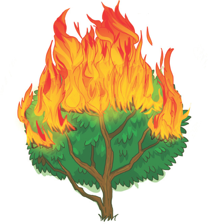 MOSES HEARD GOD SPEAK FROM A BURNING BUSH Moses was surprisedand afraid He - photo 6