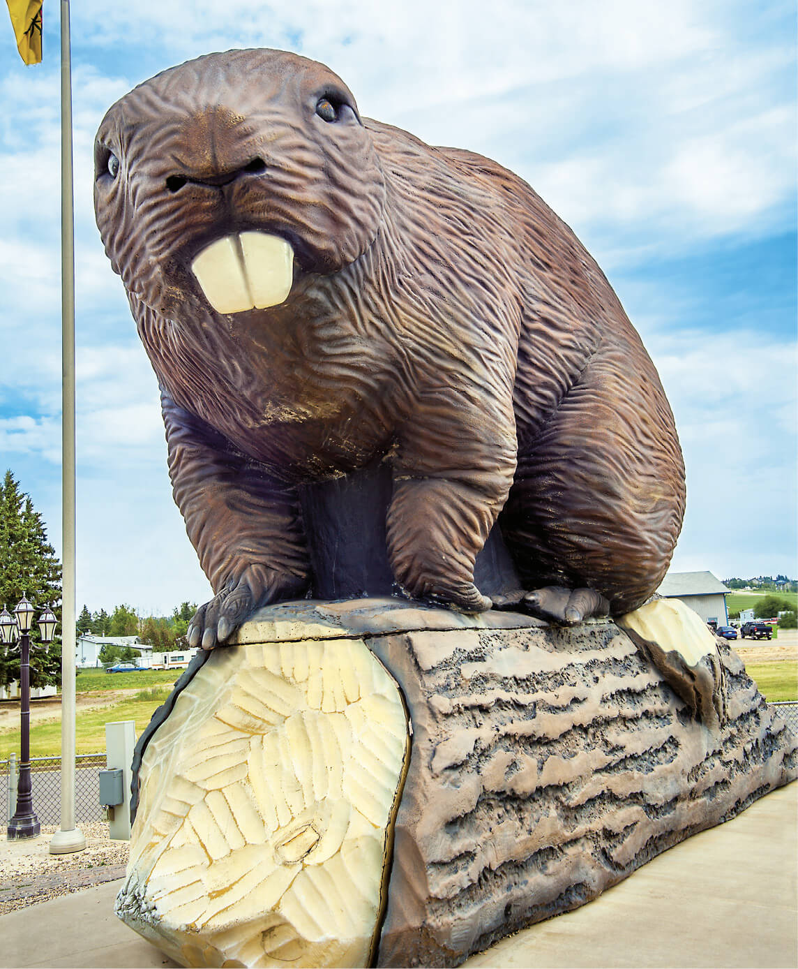 Beaverlodges gigantic beaver sculpture is 18 feet 55 meters long and weighs - photo 3