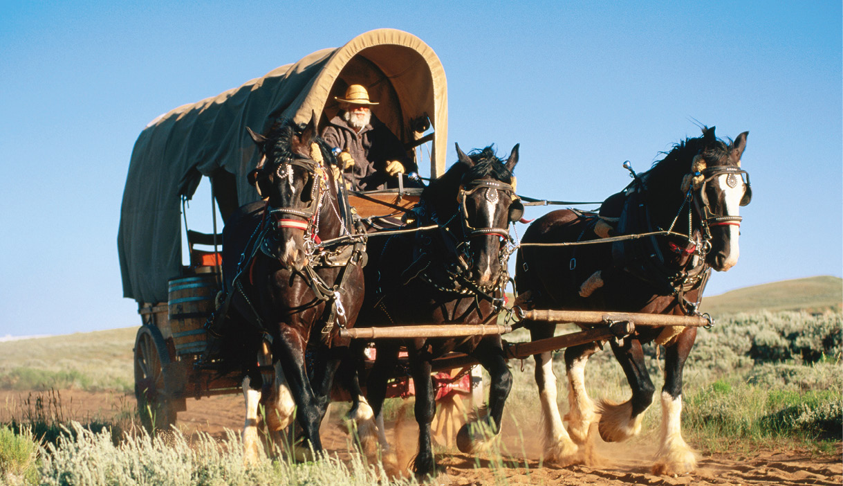 Hold on to your horses Before cars people used horses and wagons to get - photo 3