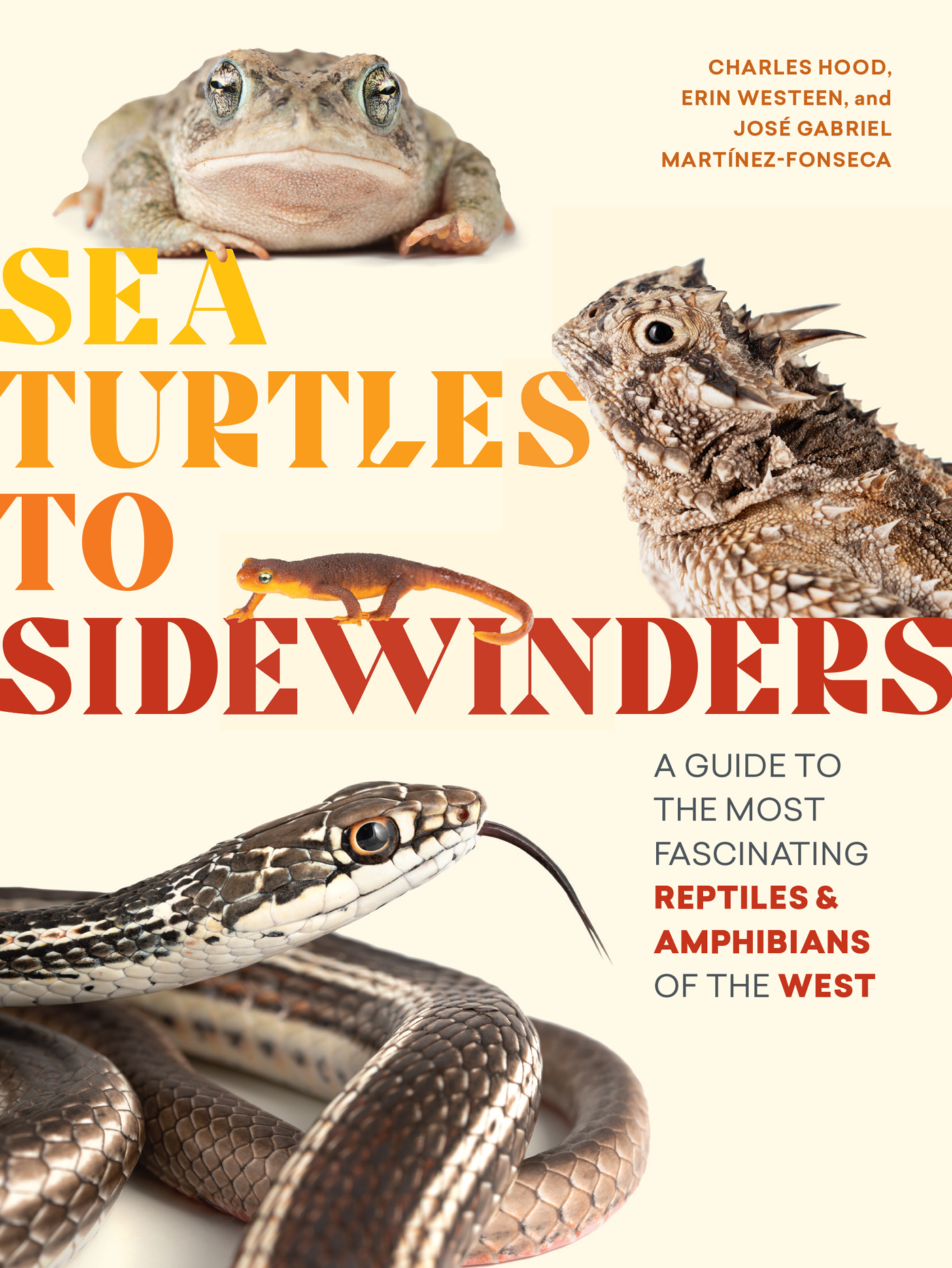 SEA TURTLES TO SIDEWINDERS A GUIDE TO THE MOST FASCINATING REPTILES - photo 1