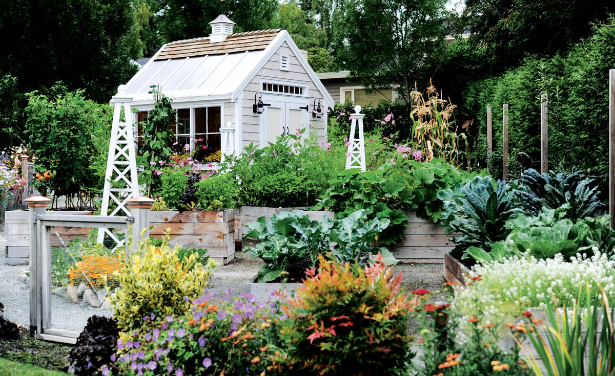 A vegetable garden can be both beautiful and productive Grow for a purpose - photo 8