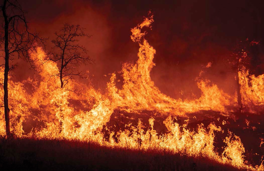 In an attempt to control the massive Carr Fire which erupted in California in - photo 2