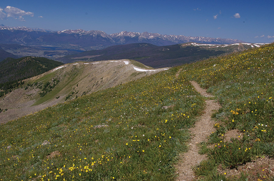 View of the Gore Range from the Lenawee Trail hike 5 Paintbrush and - photo 2