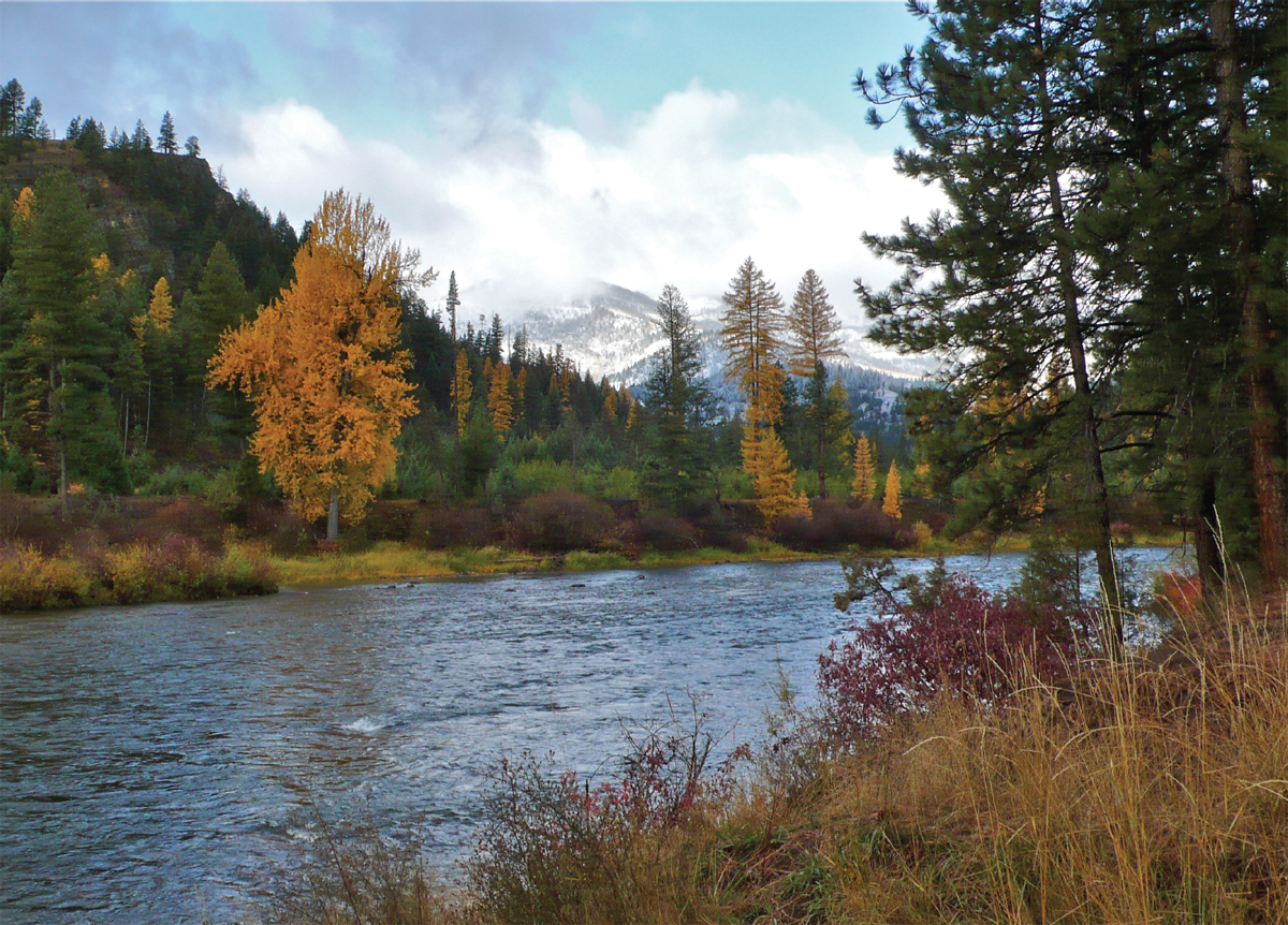 The lower Blackfoot River in late fall The authors son John Fitzroy - photo 29