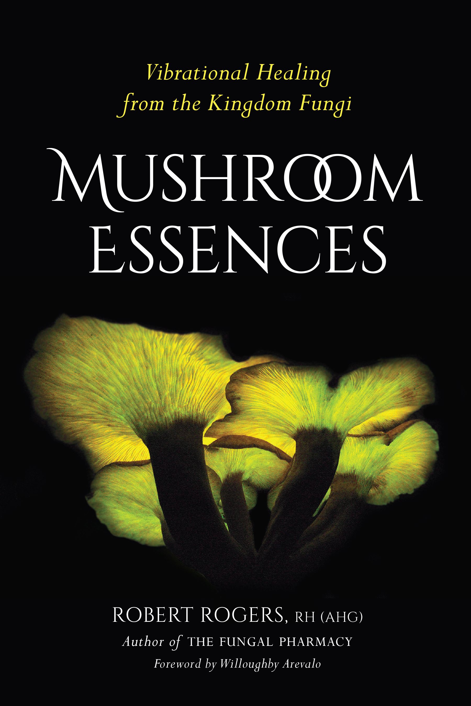 PRAISE FOR MUSHROOM ESSENCES Charting new territory and going where no one - photo 1