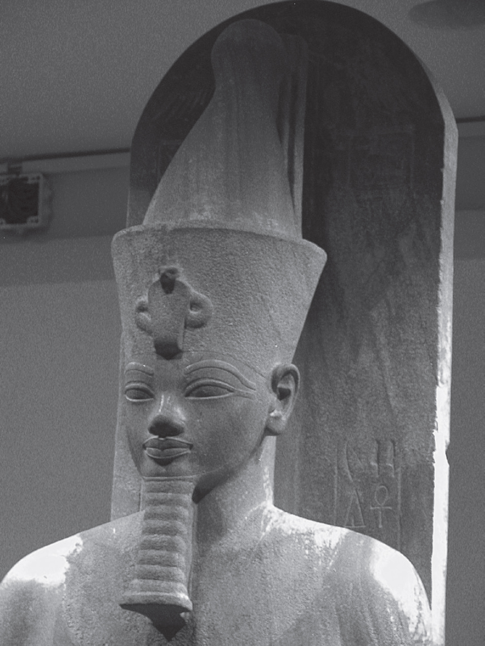 Amenhotep III Luxor Museum Photograph by the author As the reader you are - photo 5