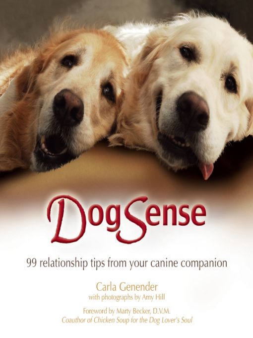 Table of Contents Reading DogSense 99 Relationship Tips from Your Canine - photo 1