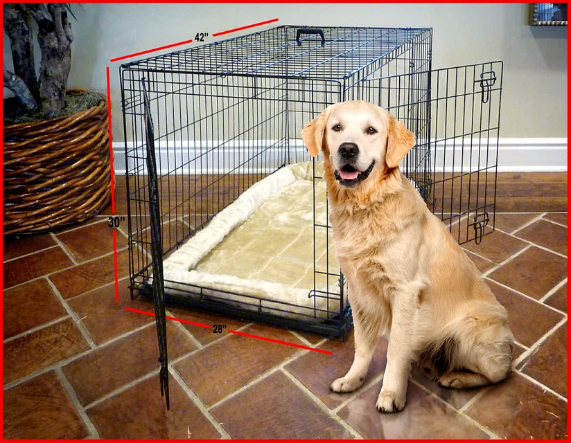 You can order a purpose-made crate mat or a vet bed to cover the bottom of the - photo 3