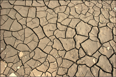 Desert outback Dry desert sand Deserts are one of the most hostile human - photo 3