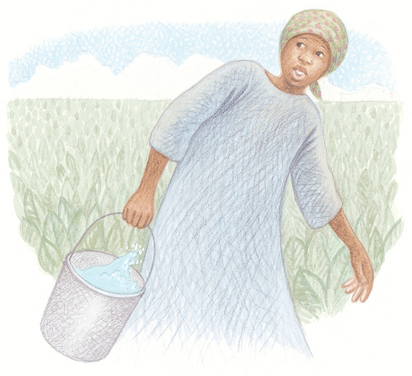 She carried buckets of water to the slaves working in the fields She picked - photo 14