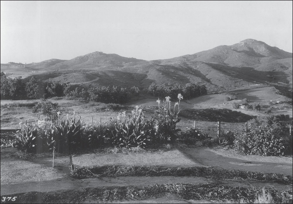 GROSSMONT PEAK LEFT AND MOUNT HELIX RIGHT 1920S These prominent peaks - photo 2