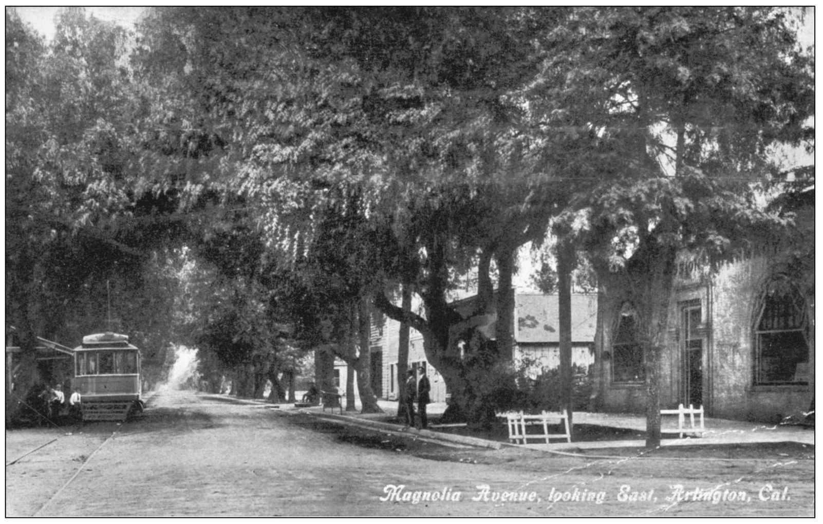 In this 1910 image both sides of Magnolia Avenue are lined with shade trees - photo 11