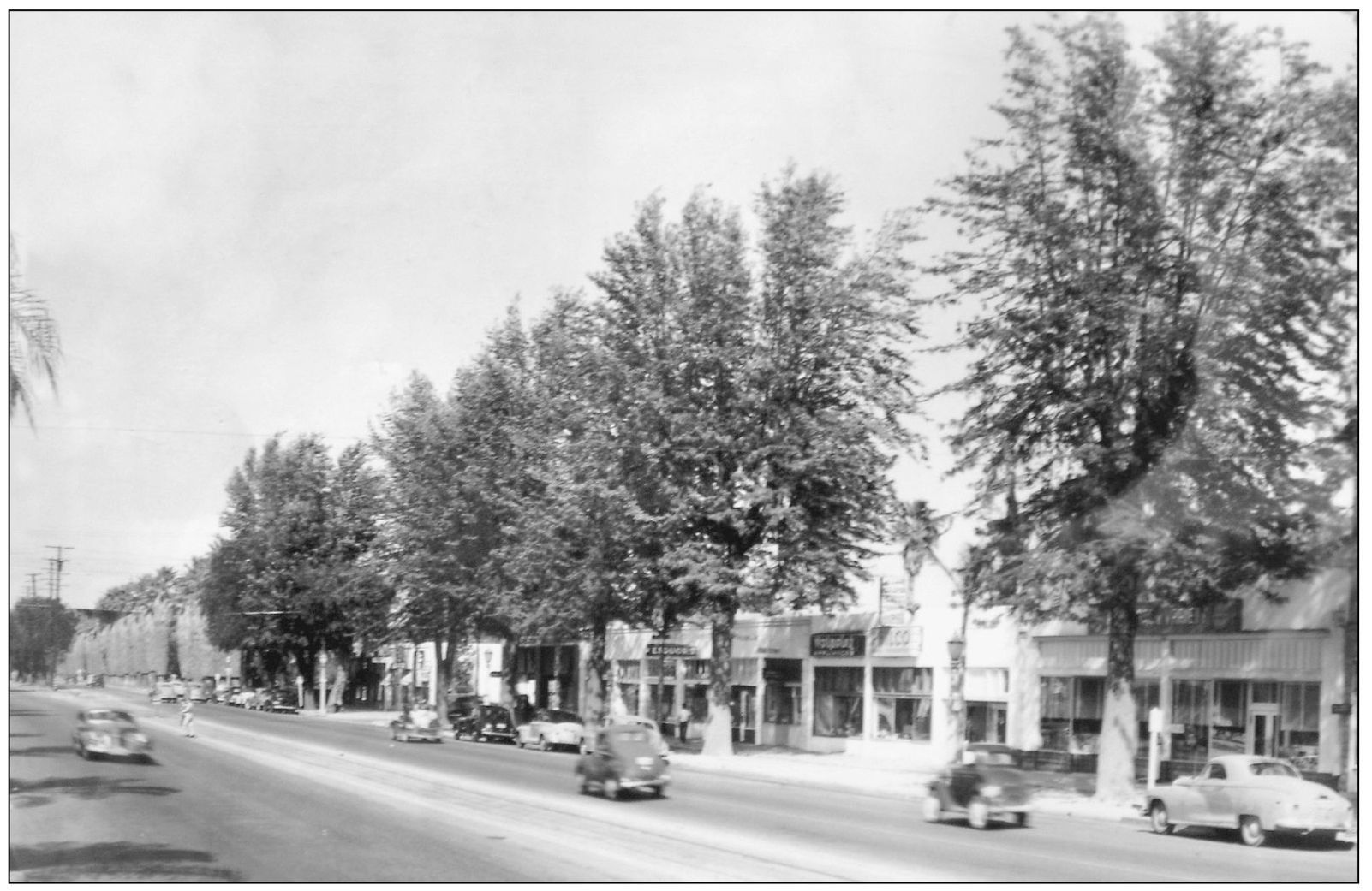 By the 1940s Magnolia Avenue was a well-established center of business in - photo 13