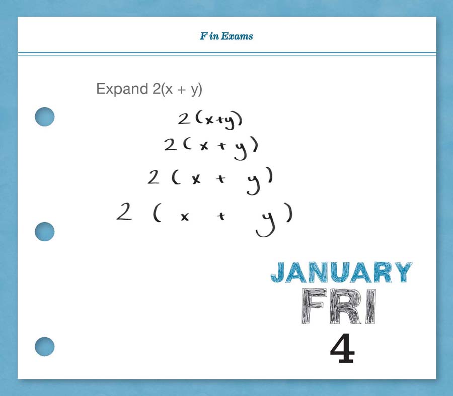 2013 Daily Calendar - F in Exams - photo 5