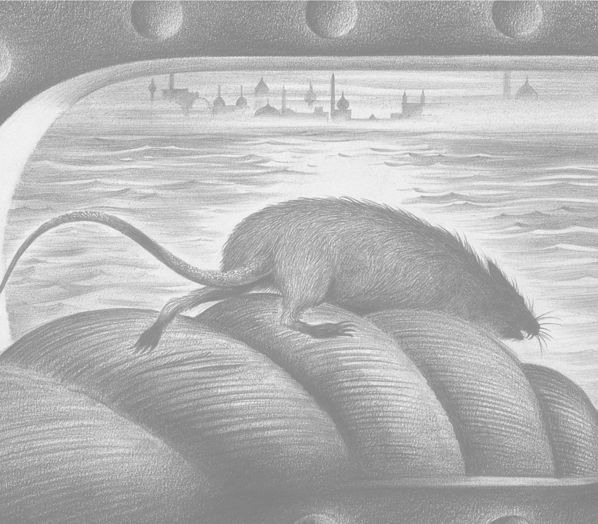 A rat leaving a ship via the mooring rope Rat fleas infected by plague - photo 3