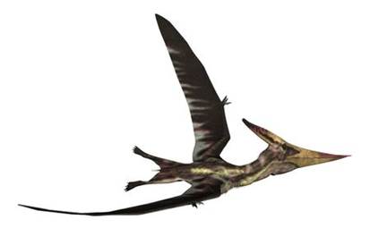 The Pterosaurs were probably a shade of tanbrown or green like most animals - photo 7