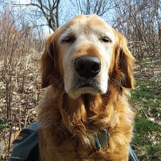 Theo posing in Tennessee Those who take to the AT have Benton MacKaye and Myron - photo 6